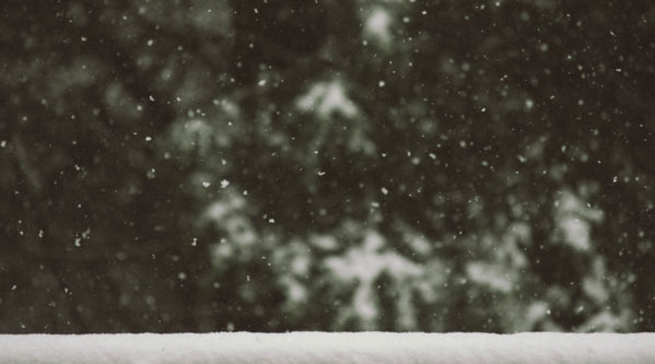 Seasonal Affective Disorder: Symptoms & How to Cope