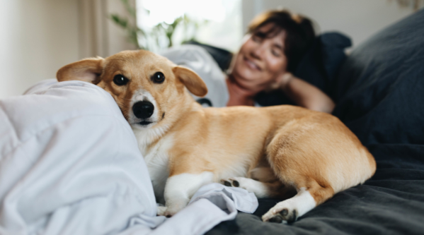 How Therapy Dogs Provide Healing, Support, and Comfort