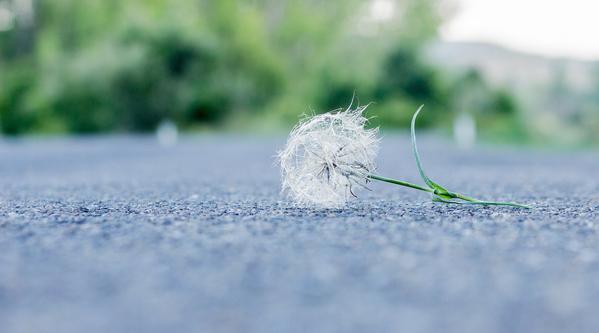 Boundaries Series: What if I hurt someone’s feelings by setting boundaries?